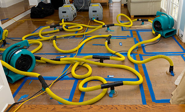 Professional Emergency Water Removal technician working in Pico Rivera, CA